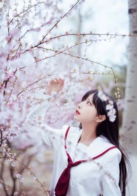 《文豪野犬》动漫第二季